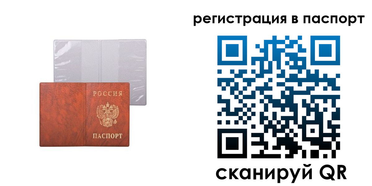 прописка в квартире в Светлогорске